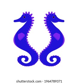 blue and purple seahorses looking in different directions isolated on white background