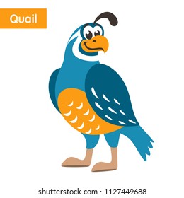 Blue quail with a yellow beak on a white background. Cartoon colorful character for children. Isolated object. Flat style. Vector illustration.