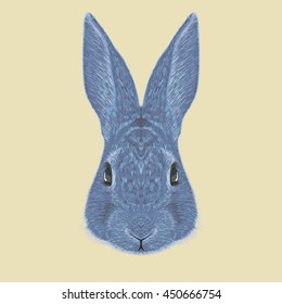 blue rabbit illustration vector