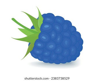 Blue Raspberry, a variety of blue raspberry, a sweet summer ripe berry with green leaves on top, isolated on a white background, for etiquette, magazines and recipe sites