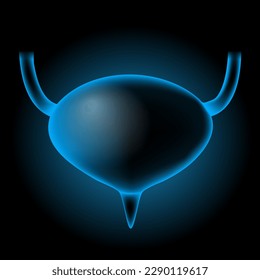 blaue, realistische Blase. Blase mit leuchtendem Effekt auf dunklem Hintergrund. Humanes Harnsystem. Vektorgrafik wie Röntgenbild. 