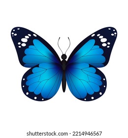 Blue realistic flying monarch butterfly on a white background. Vector illustration. Decorative print design. Colorful fairy wings.