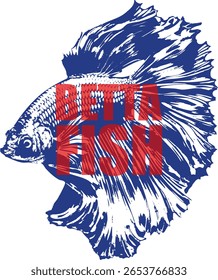 Blue and red betta fish vector illustration. Siamese fighting fish design for pet stores, aquarium graphics, and animal-related projects.