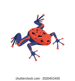 Blue and red exotic frog on white background isometric vector illustration