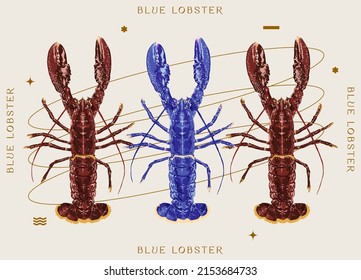 Blue and Red Lobster, Vintage style print