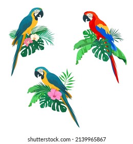 Blue and red macaw parrots on palm leaves. Summer arrangements with macaw parrots, palm leaves and orchids and hibiscus flowers. Vector illustration