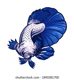 Blue rim betta fish hand drawn illustration