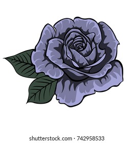 Blue rose. Colored and lined rose flower. Isolated rose. Single rose