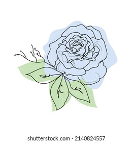 Blue Rose continuous line set, outline sketch style vector abstract art.