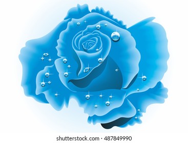 blue rose with dew drops on white background.vector illustration.