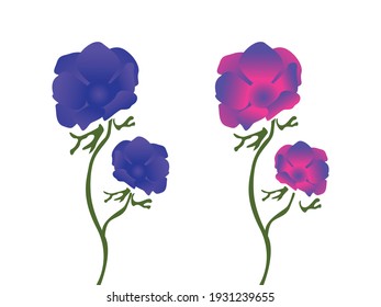 Blue Rose flower, pink flower illustration, blue flower, gradient color of flower illustration