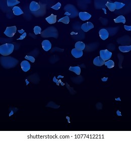 Blue rose leaves fall down. Luxury romantic card. Floral dark background vector illustration.