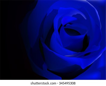 Blue rose on black vector illustration