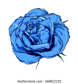 Blue rose. Vector illustration