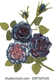 Blue  roses bouquet