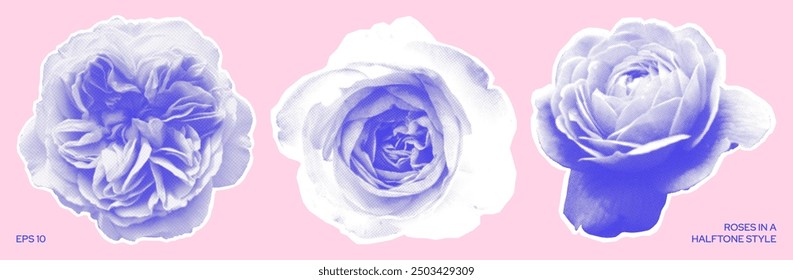 Blue roses in halftone style on a pink background. Y2K elements. Floral design for collage. Rose stickers for decor and design embellishment. Vector illustration