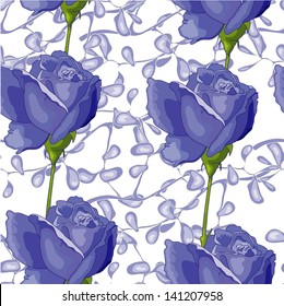 Blue roses on the white  background
