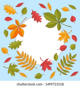 Blue round frame with bright colorful autumn leaves