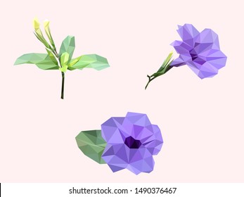 Blue Ruellia simplex (the Mexican petunia, Mexican bluebell, Britton's wild petunia) flowers low polygonal design