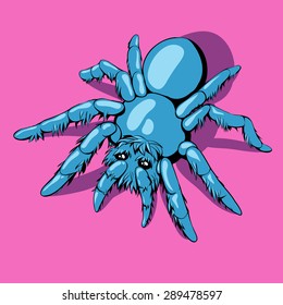 Blue sad spider on the pink background.