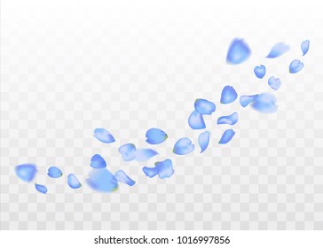 blue sakura or rose falling petals