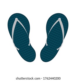 blue sandals design, Flip flops shoes footwear fashion beauty beach foot and feet theme Vector illustration