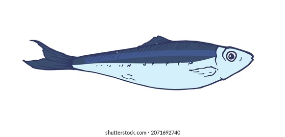 blue sardine. hand-drawn sketch-style SPRAT of a small sea fish, blue-gray with a blue outline, side view, isolated seafood on a white background for a design template