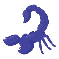 Blue scorpion raising its tail in threatening posture, ready to attack with its pincers and its venomous stinger