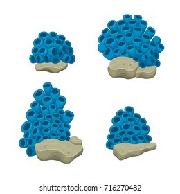 Blue sea anemones set growing on a rock. Vector illustration