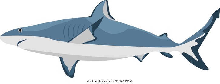 Blue sea shark, illustration, vector on a white background.