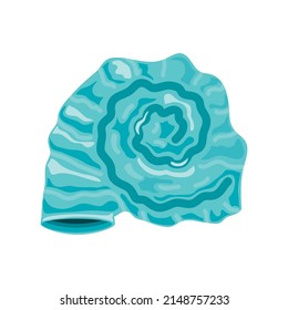 blue sea shell icon isolated