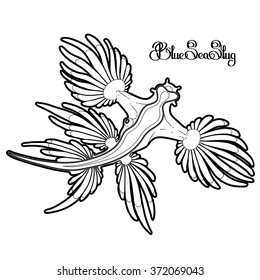 Blue sea slug drawn in line art style.  Vector ocean creature isolated on white background. Coloring book page design for adults and kids