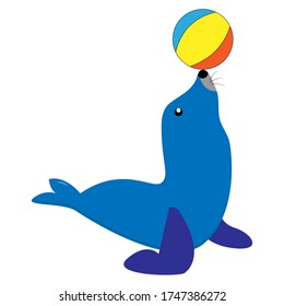 Blue seal animal play with ball vector
