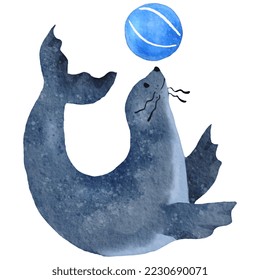 Blue Seal with Blue ball