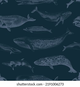 Blue Seamles pattern with whales.