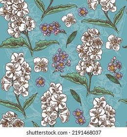Blue seamless pattern with branch jasmine flowers. Color. Engraving style. Vector illustration.