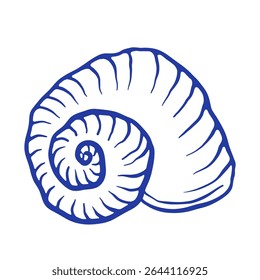 Blue Seashell hand draw vector illustration. Spiral mollusc doodle icon