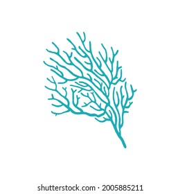 Blue seaweed icon isolated sea coral anemone plant icon. Vector galaxy corals Galaxea sp. acropids, aquarium organism. Sea coral, underwater polyp growing in deep sea waters, gorgonian aquatic plant