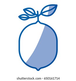 blue shading silhouette of lemon fruit with stem and leaves vector illustration