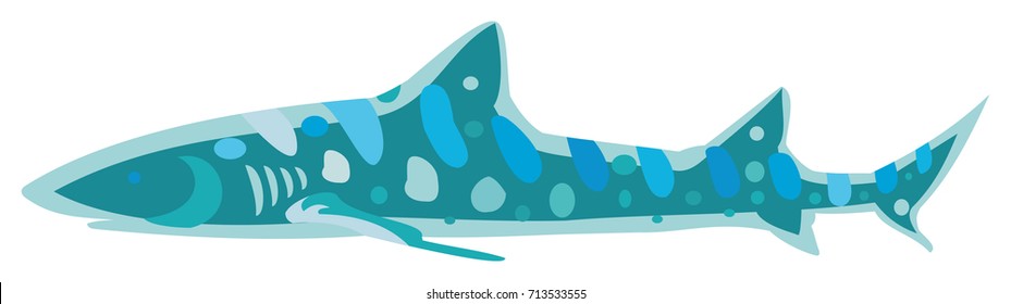 Blue Shark