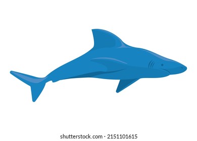 blue shark design over white