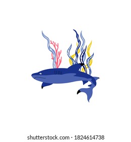 Blue Shark Floating Among Sea Weeds Vector Illustration. Sea Animal and Wild Underwater Fauna Concept