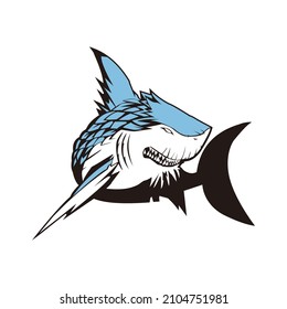 blue shark illustration vector design