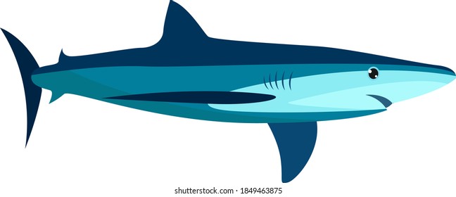 Blue shark, illustration, vector on white background