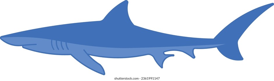 Blue shark shark predator sea ocean