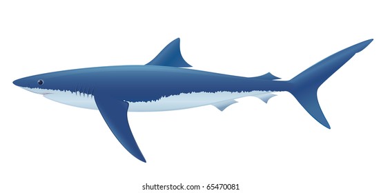 Blue Shark (Prionace glauca) saltwater fish.
"Full compatible. Created with gradients."