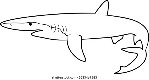 Blue Shark Vector Outline Illustration