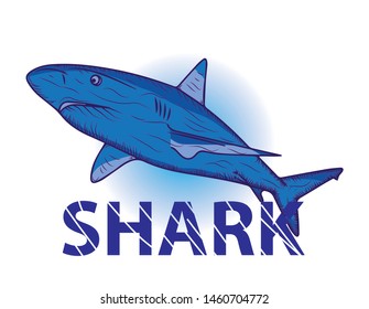 a blue shark is a vector you can use it for anything