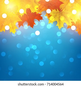 Blue shining autumn background with golden maple leaves. Vector illustration.