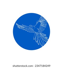 Blue silhouette of flying macaw in blue circle. Vector illustration.